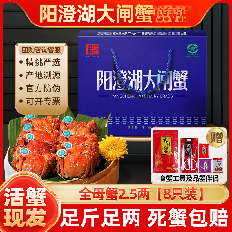 【活蟹】四记联洋阳澄湖大闸蟹全母蟹2.5两8只金标螃蟹塘养