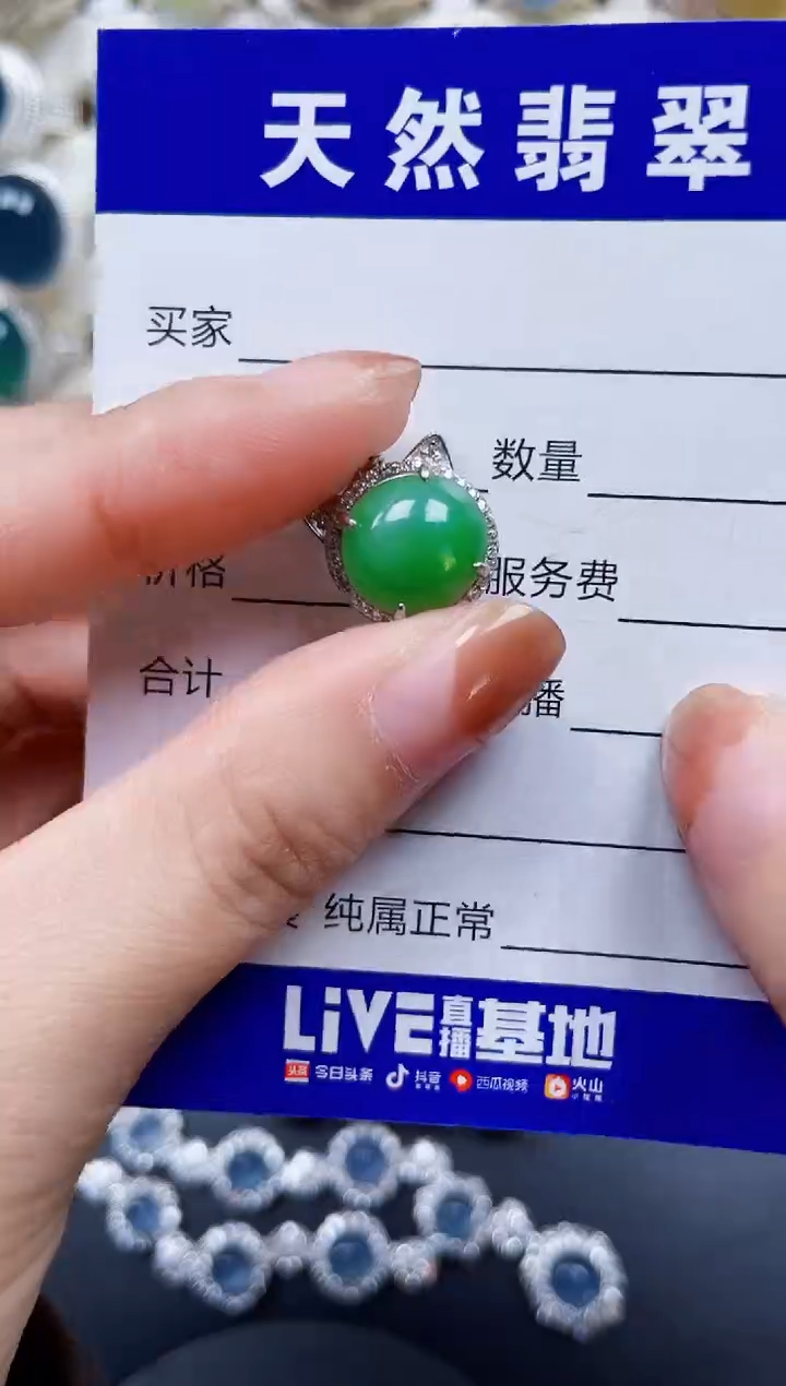 颈饰银S925镶嵌翡翠458