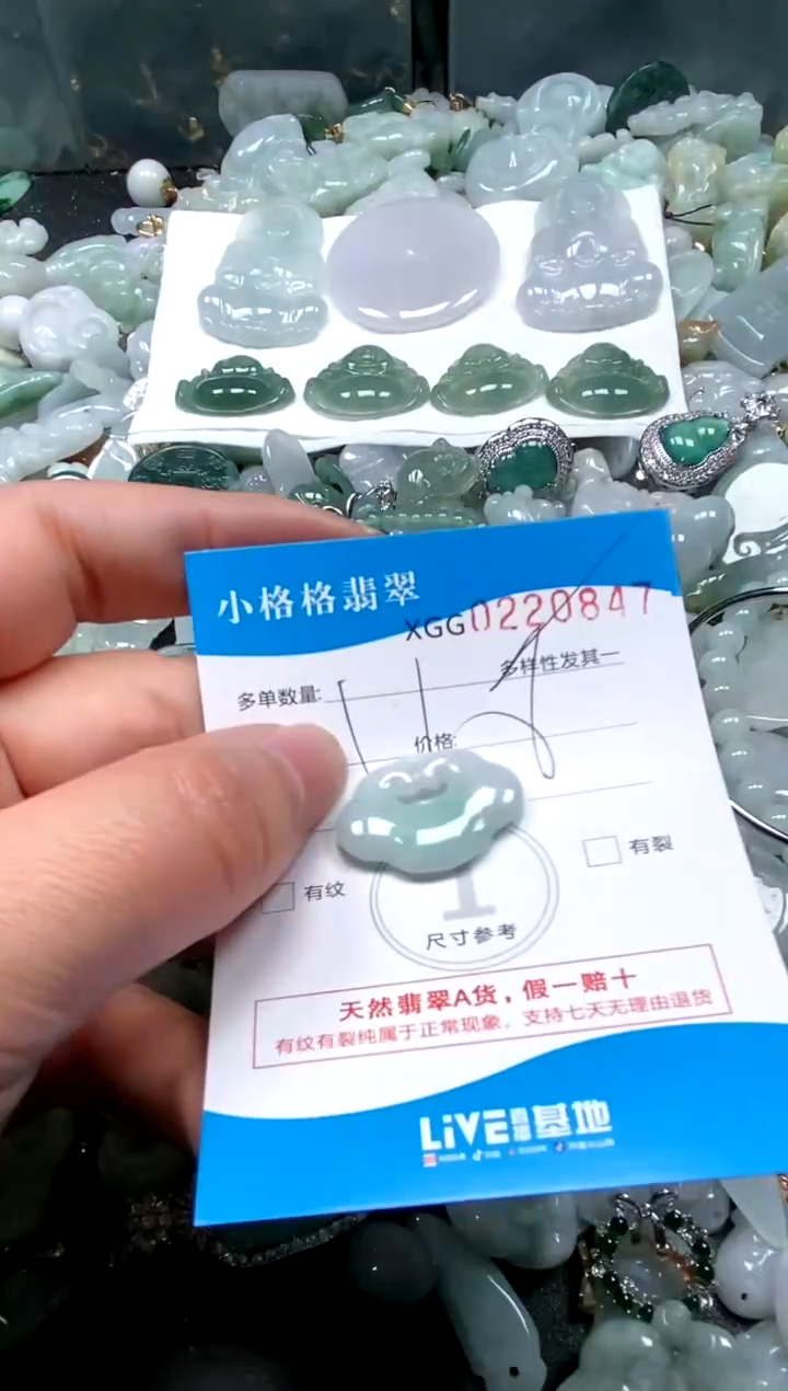 【闪购商品】翡翠颈饰未镶嵌闪购商品0220847