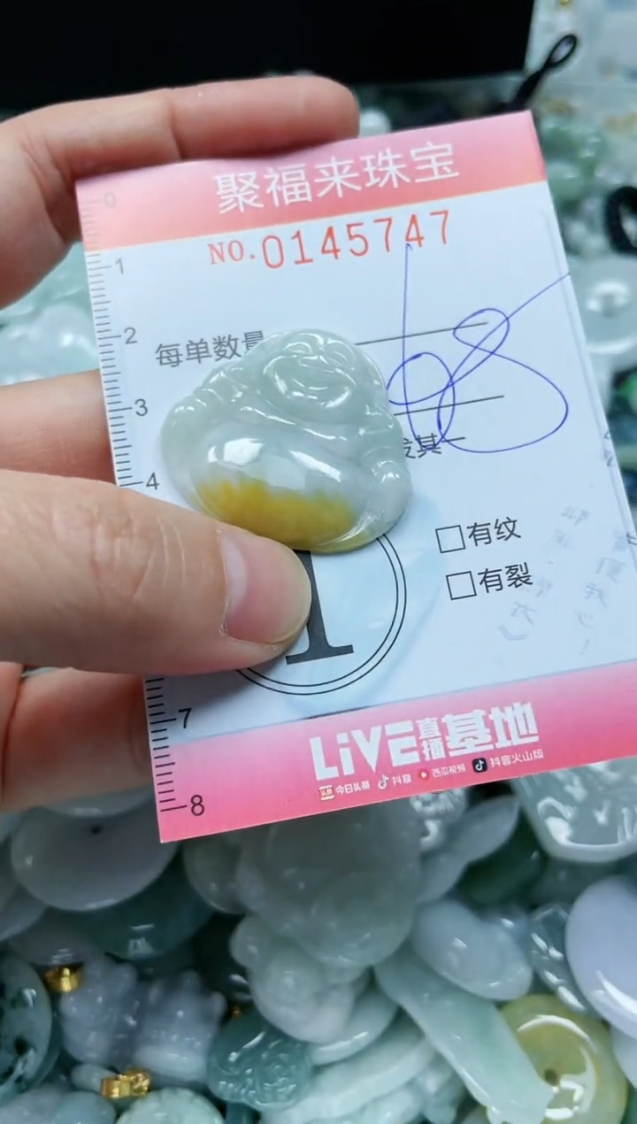 【闪购商品】翡翠未镶嵌颈饰闪购0145747