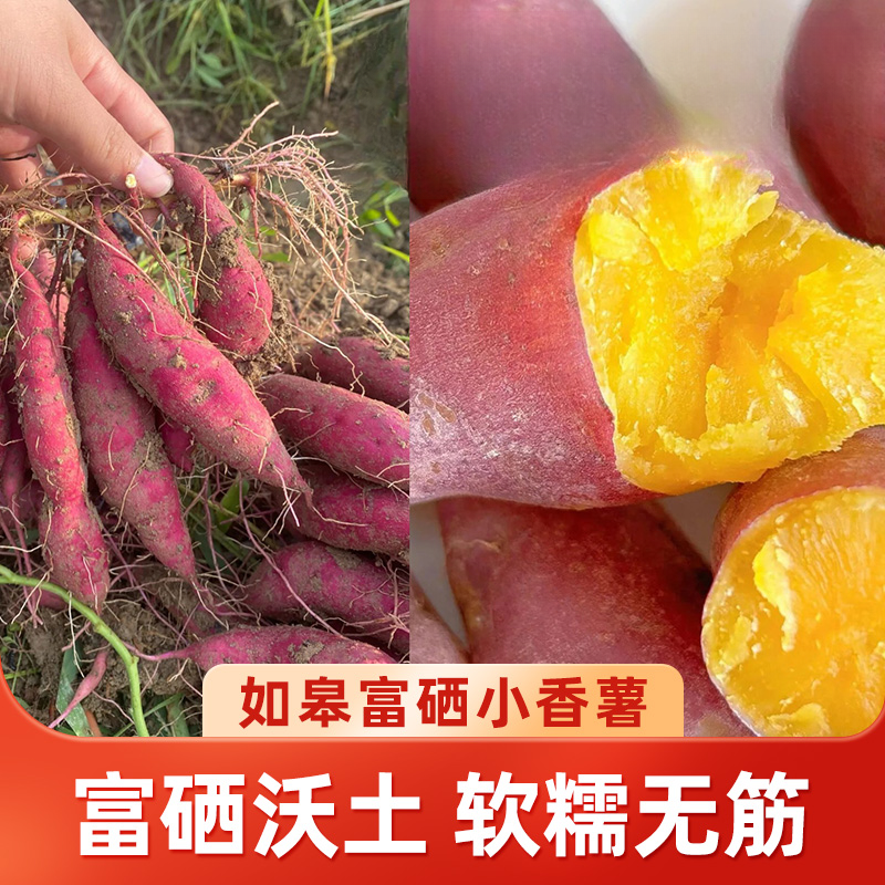 【善食源】如皋本地富硒小香薯3斤/4.5斤 软糯可口 粗粮 早餐