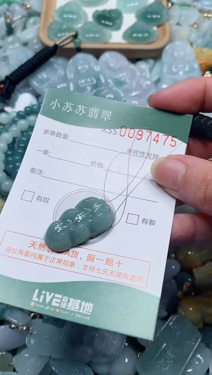 【闪购商品】翡翠颈饰未镶嵌闪购商品0097475