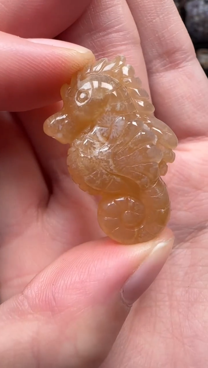 颈饰未镶嵌硅化珊瑚（珊瑚玉）630