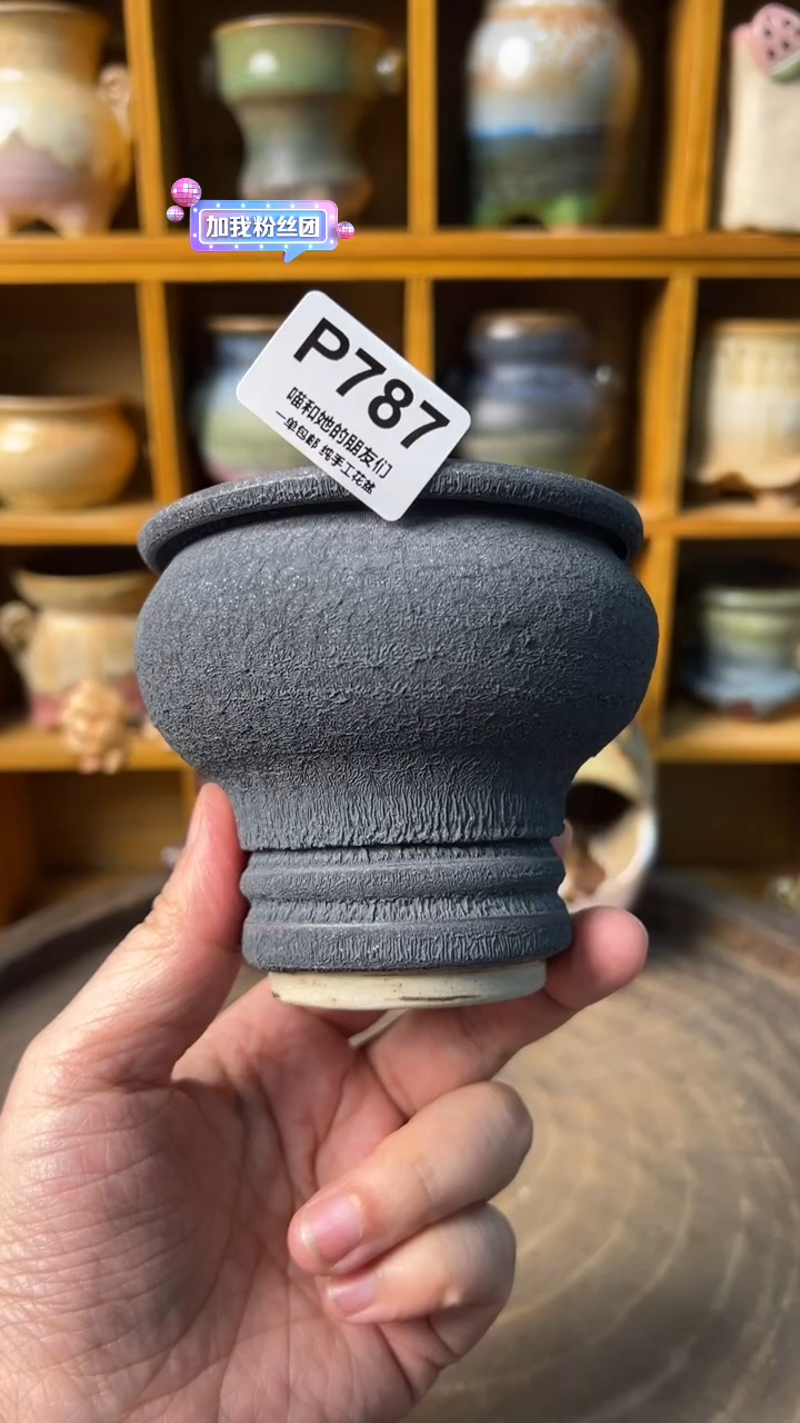 787 内口7【多肉花盆多肉盆】