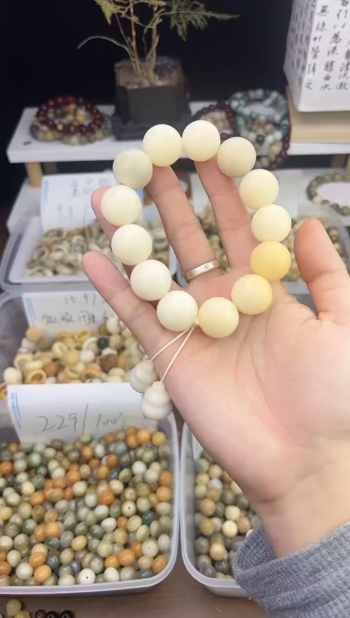 【闪购商品】菩提根/象牙果吊坠卡20手持