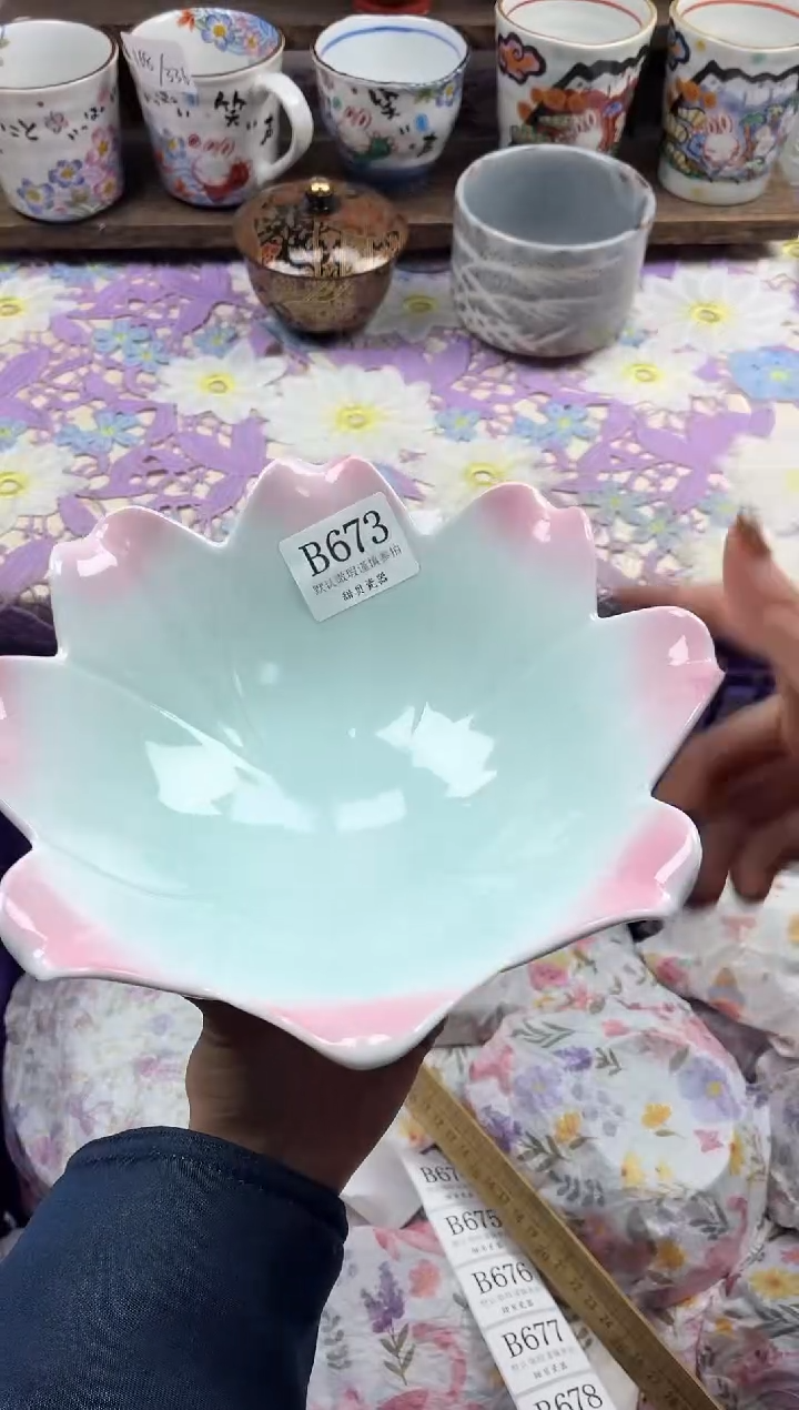 瓷片云                     B673