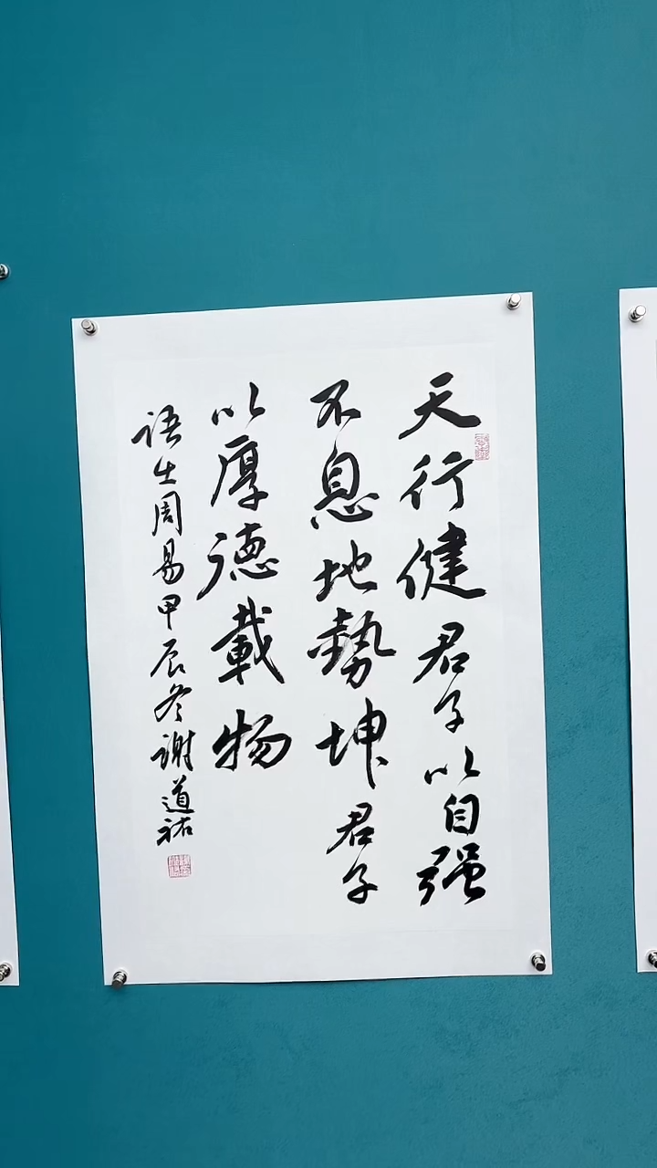 【闪购商品】谢老师传统艺术年画天行健