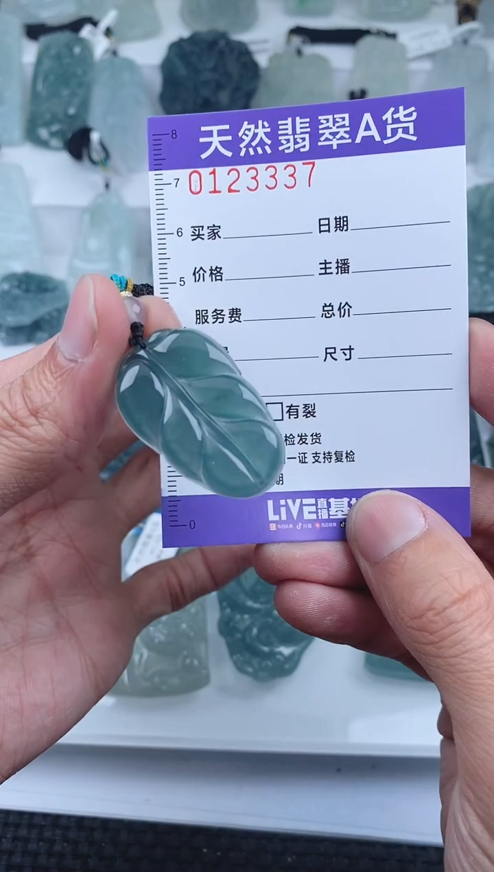 【闪购商品】翡翠颈饰未镶嵌        337