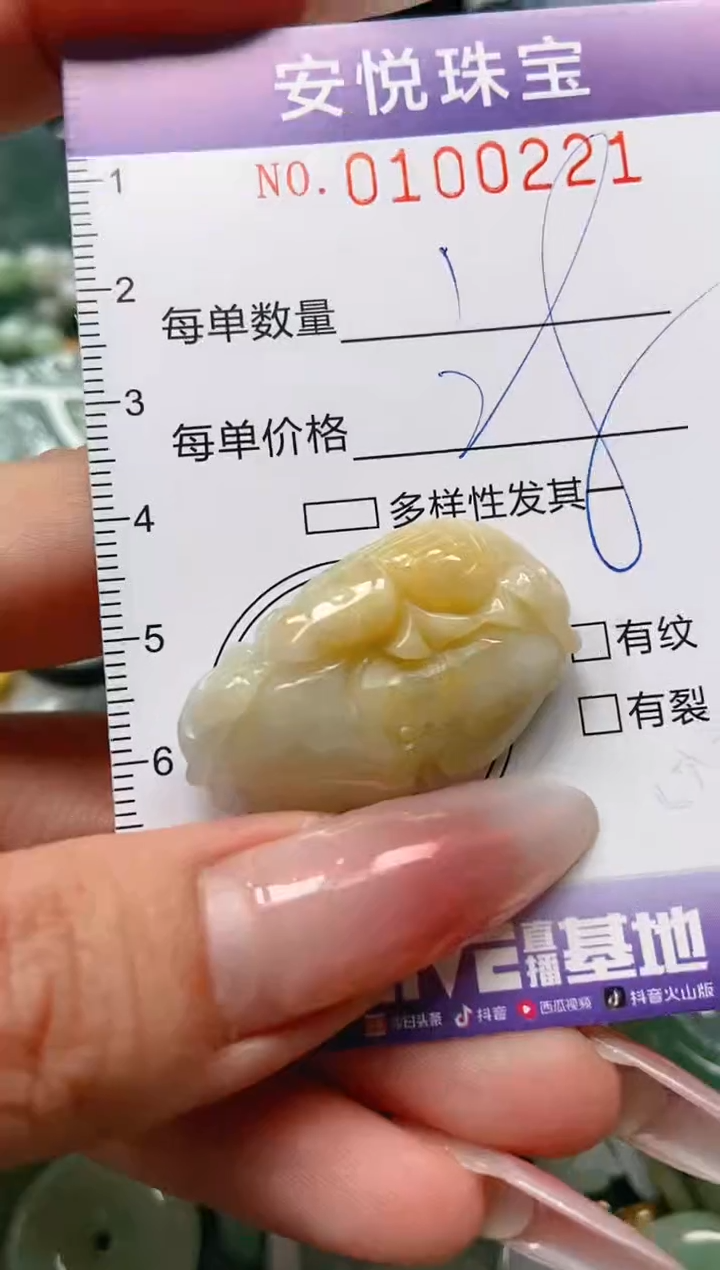 【闪购商品】翡翠颈饰未镶嵌闪购0100221