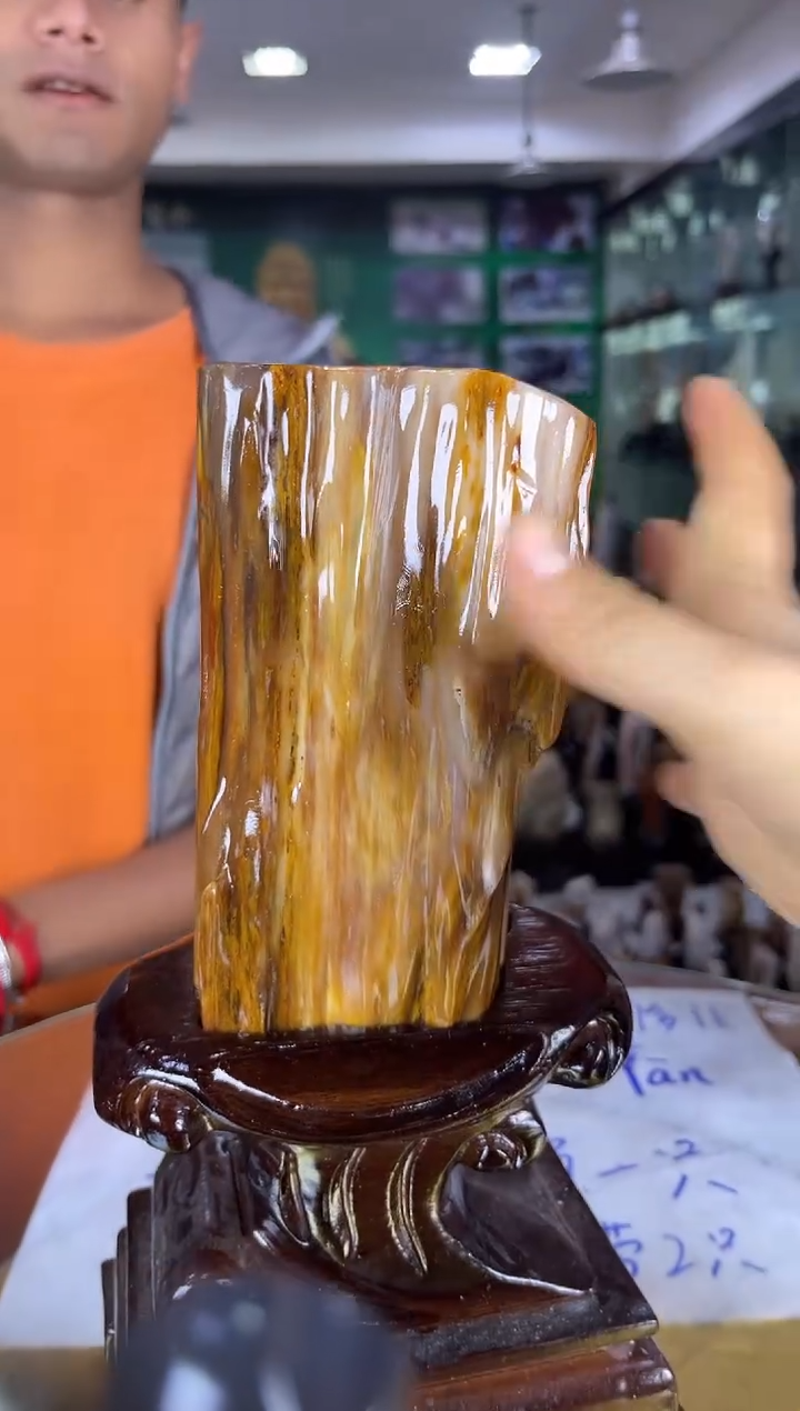 未镶嵌珠宝奇石硅化玉缅甸天然树化玉精品居家摆件