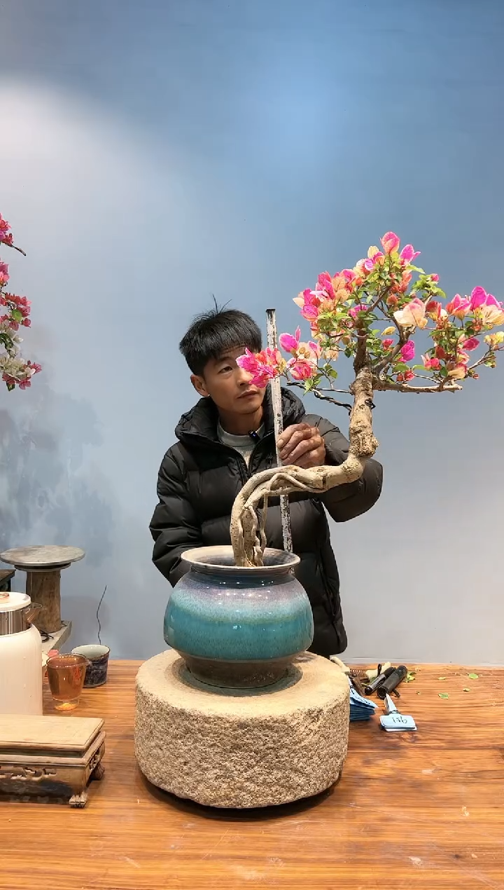 【闪购商品】AA903