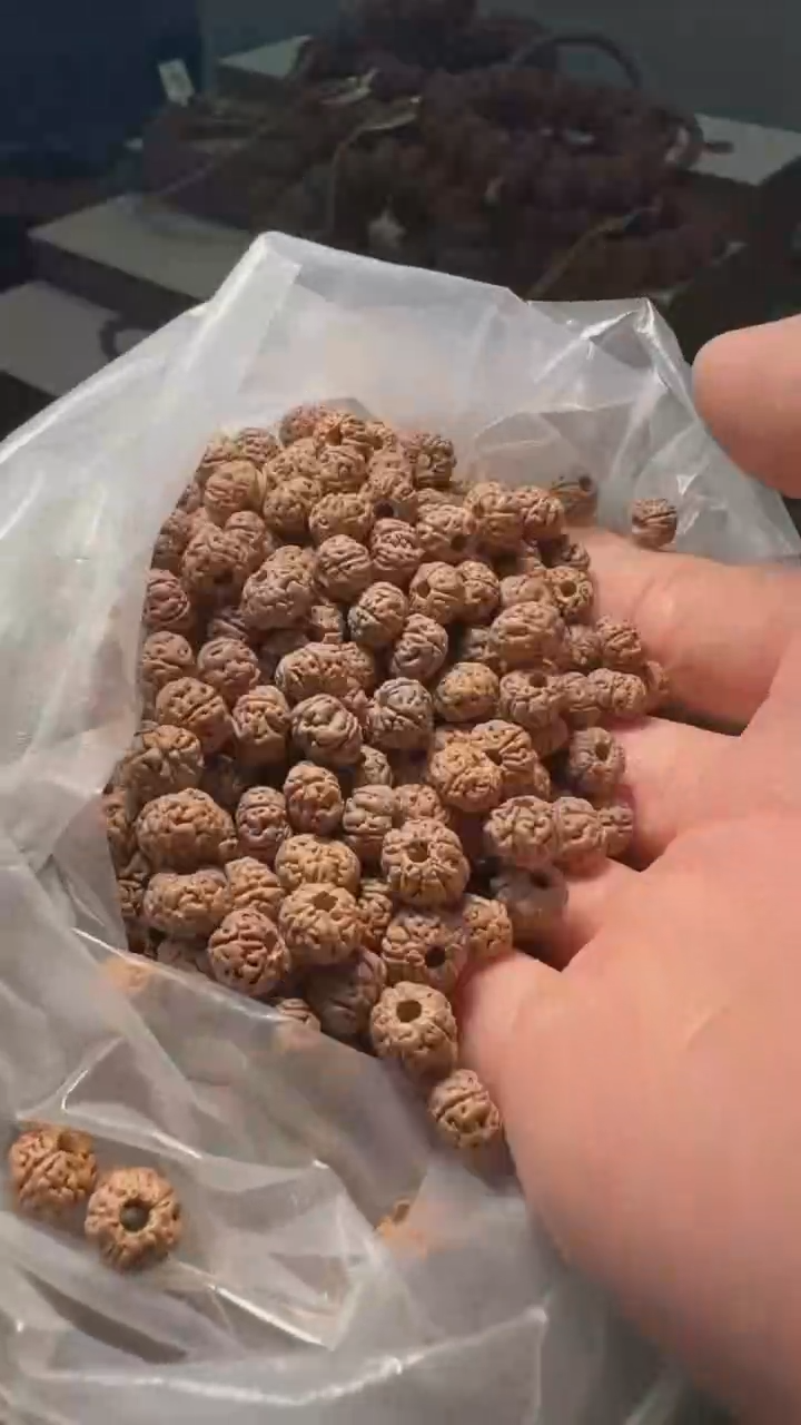 金刚菩提手串非全品老树王散籽-7mm一份一百颗