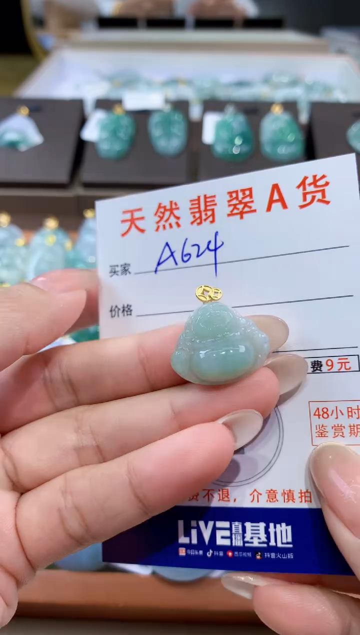 颈饰未镶嵌翡翠天然缅甸翡翠A货挂件 