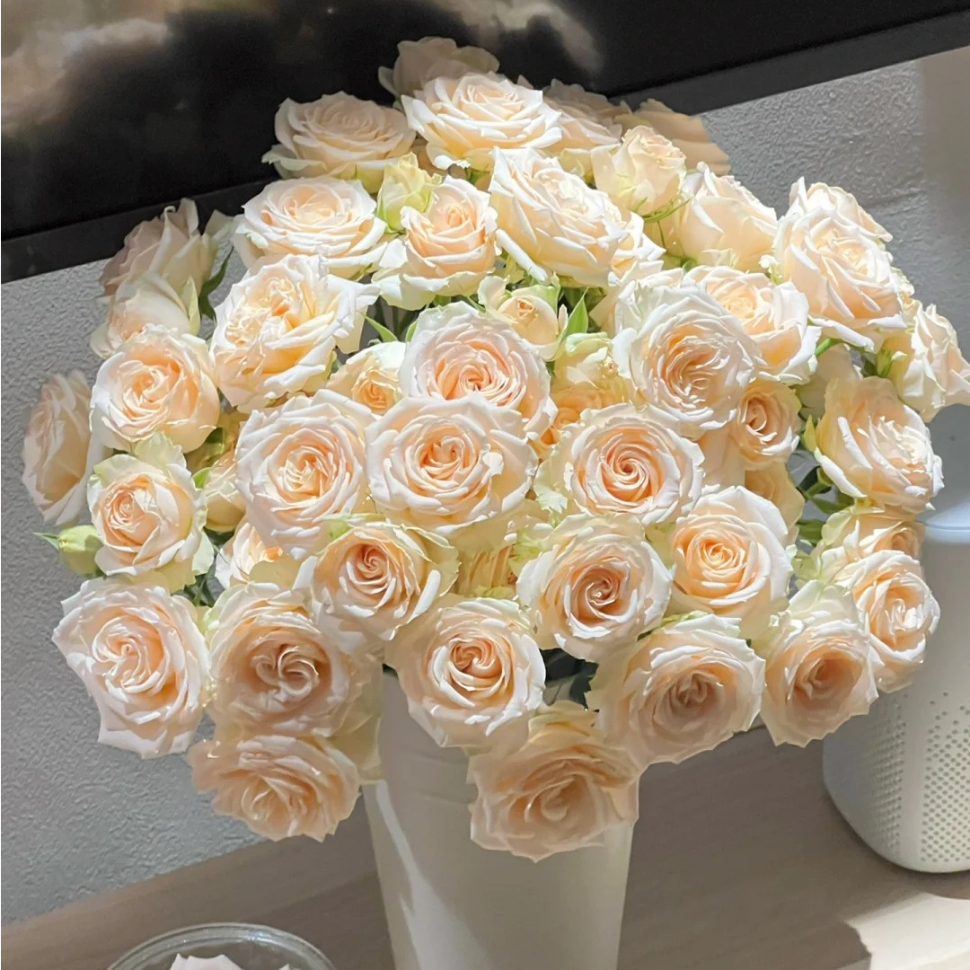 【翠妮缇】多头玫瑰云南源头臻选-任意2单升级快递发货后不支持退款