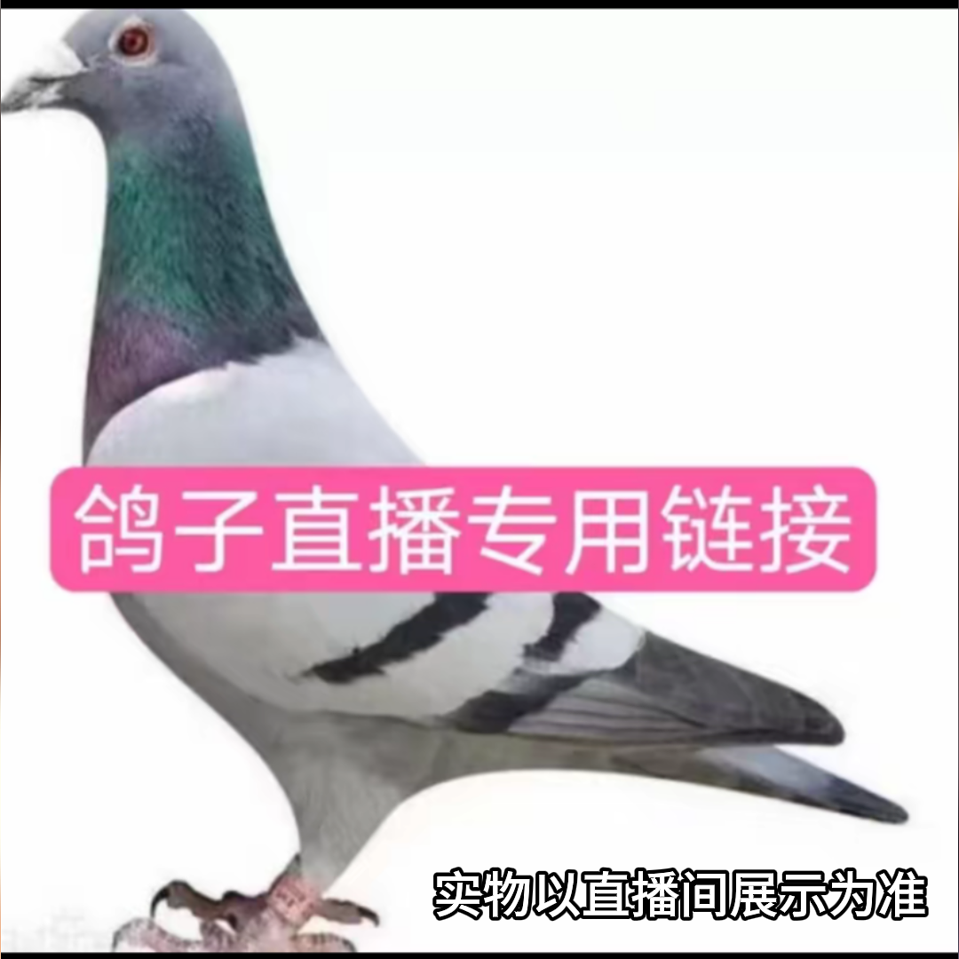 笑笑严选鸽肉---以直播间编码为准