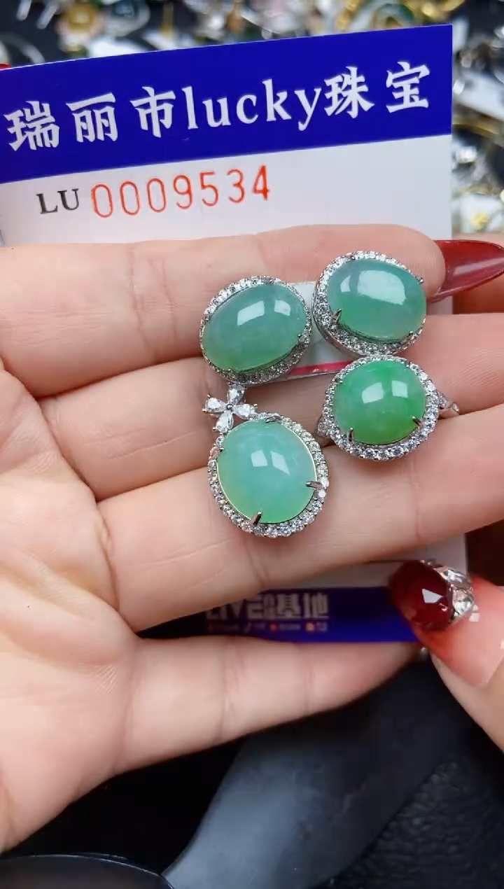 【闪购商品】翡翠颈饰银S925镶嵌9534