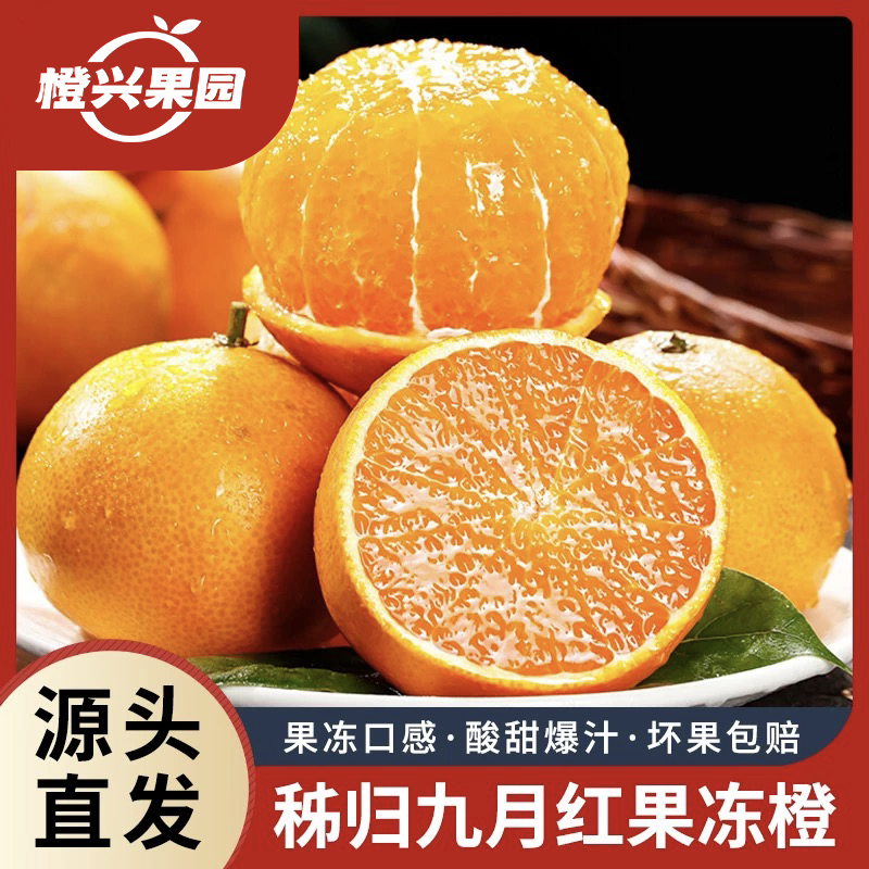 【东北三层保温】湖北秭归爆汁果冻橙九月红现摘现发保温袋保温箱