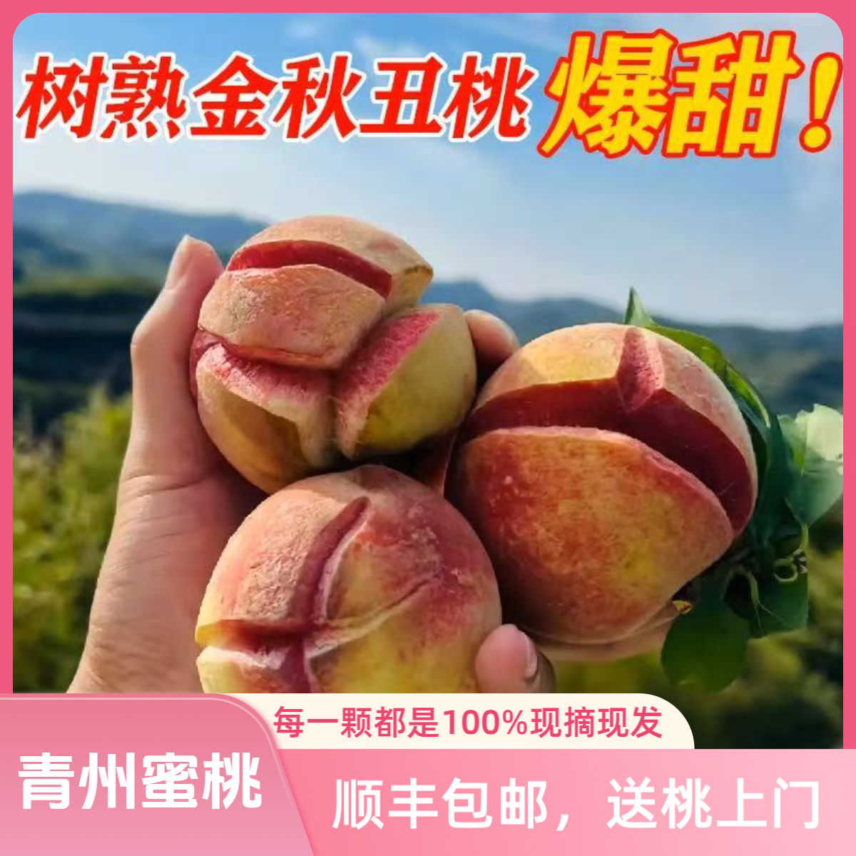 顺丰包邮正宗青州蜜桃新鲜现摘应季水果脆甜儿时味道水果当季桃子