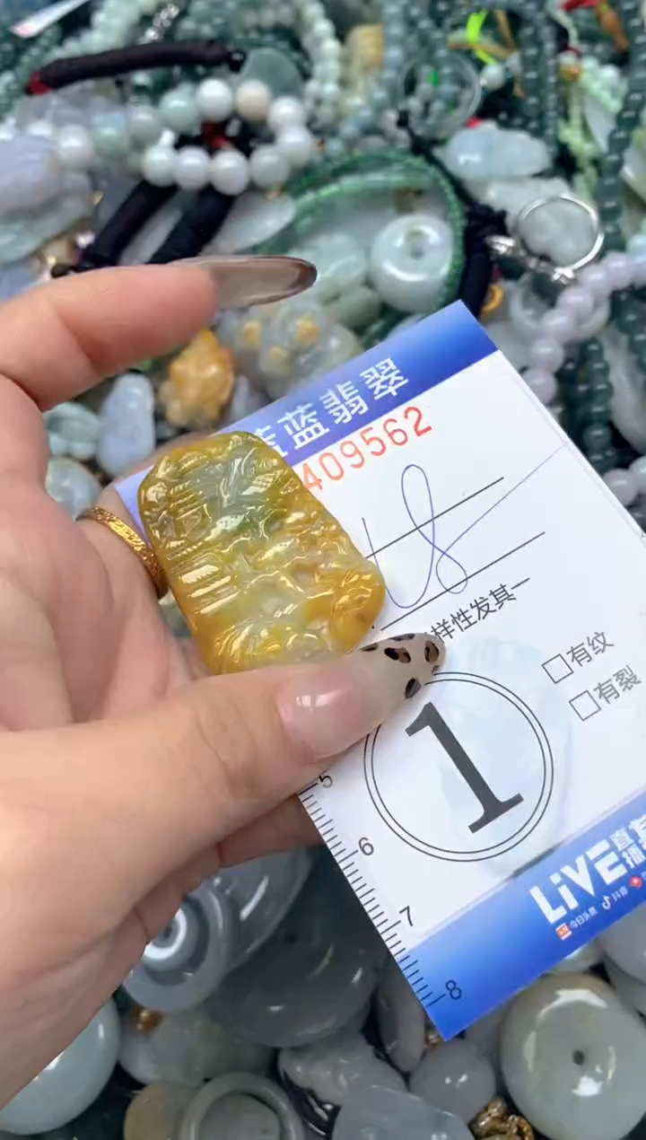 颈饰未镶嵌翡翠闪购0409562