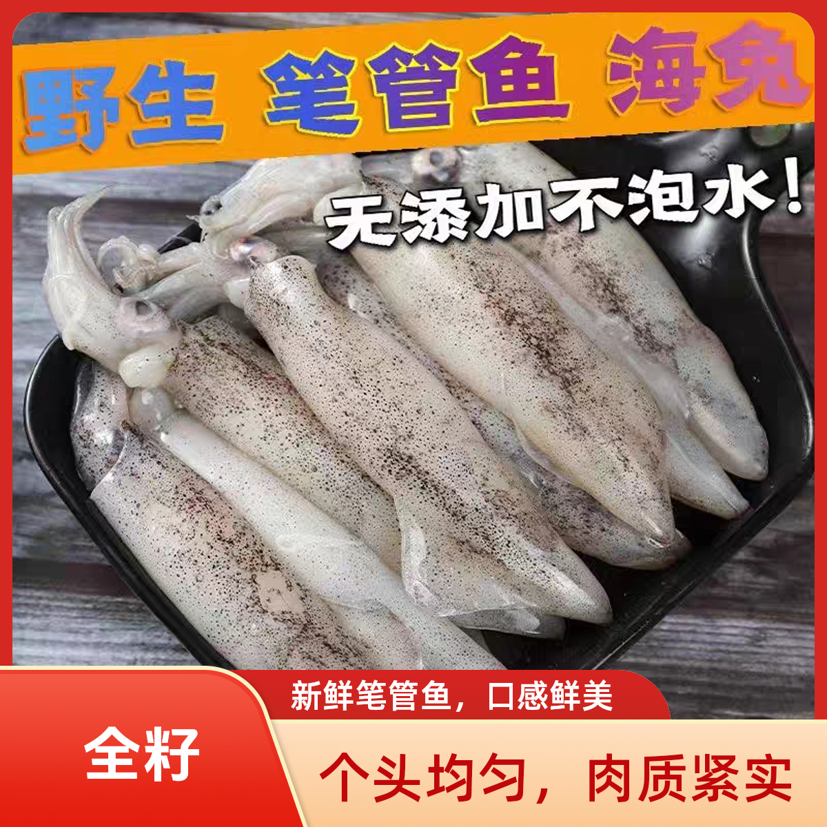 全籽3斤海捕新鲜满籽笔管鱼海兔子冷冻无冰小鱿鱼海鲜水产