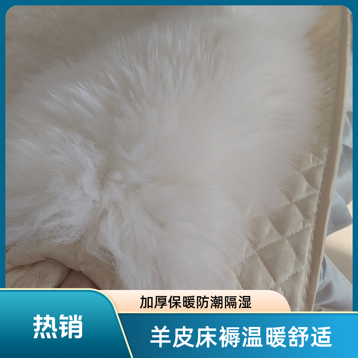 澳洲羊皮床褥加厚保暖防潮隔湿床垫学生单人羊毛褥子高寒地区老人