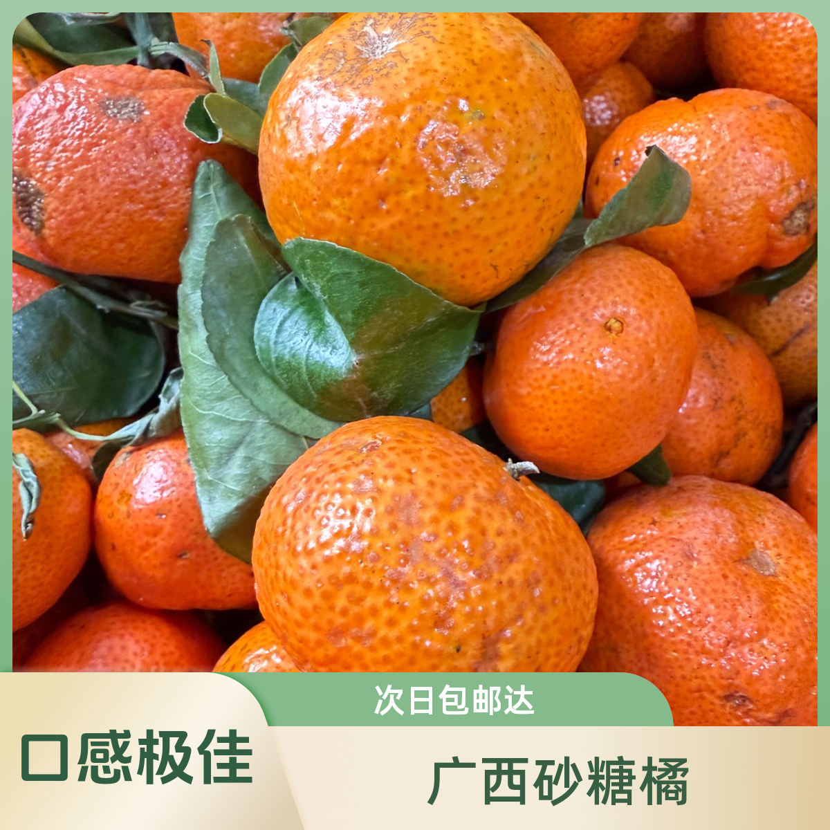 【顺丰包邮次日达】广西砂糖橘带花皮口感佳长相不好看介意勿拍