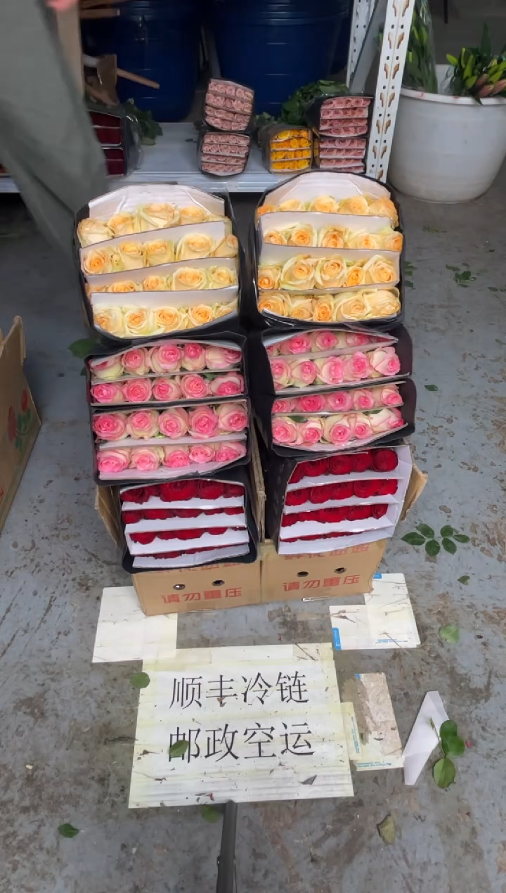 高原红20枝+艾沙20枝+香槟20枝