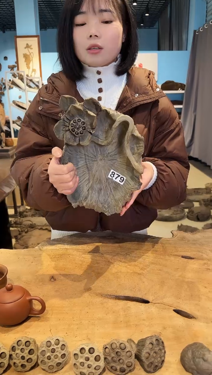 木879号乌木金丝楠果盘