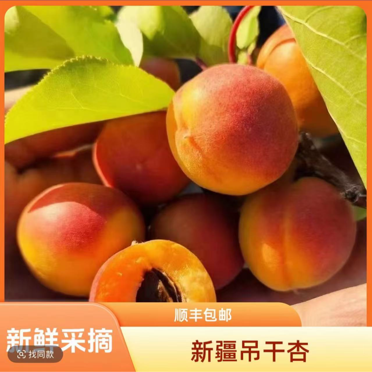 （太昊专属）新疆伊犁吊杆杏 毛重3.5-4斤顺丰包邮 新货现发