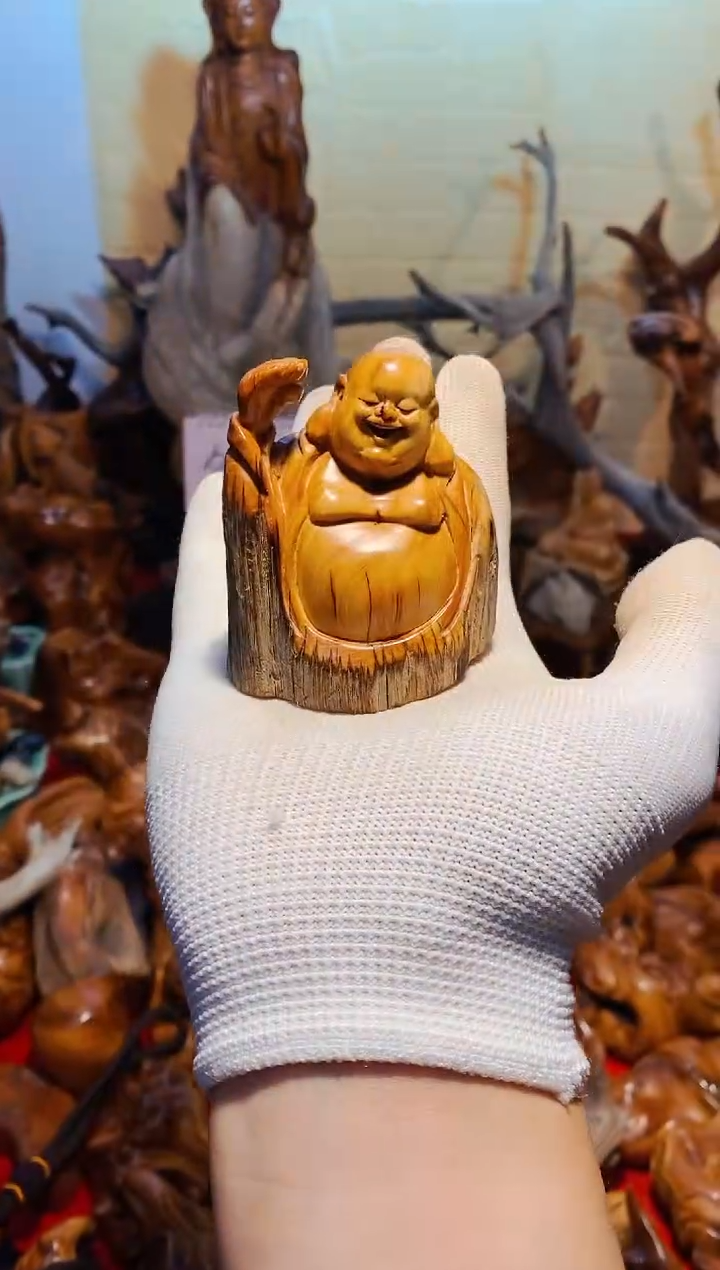 【闪购商品】柏木43崖柏崖柏崖柏崖柏崖柏