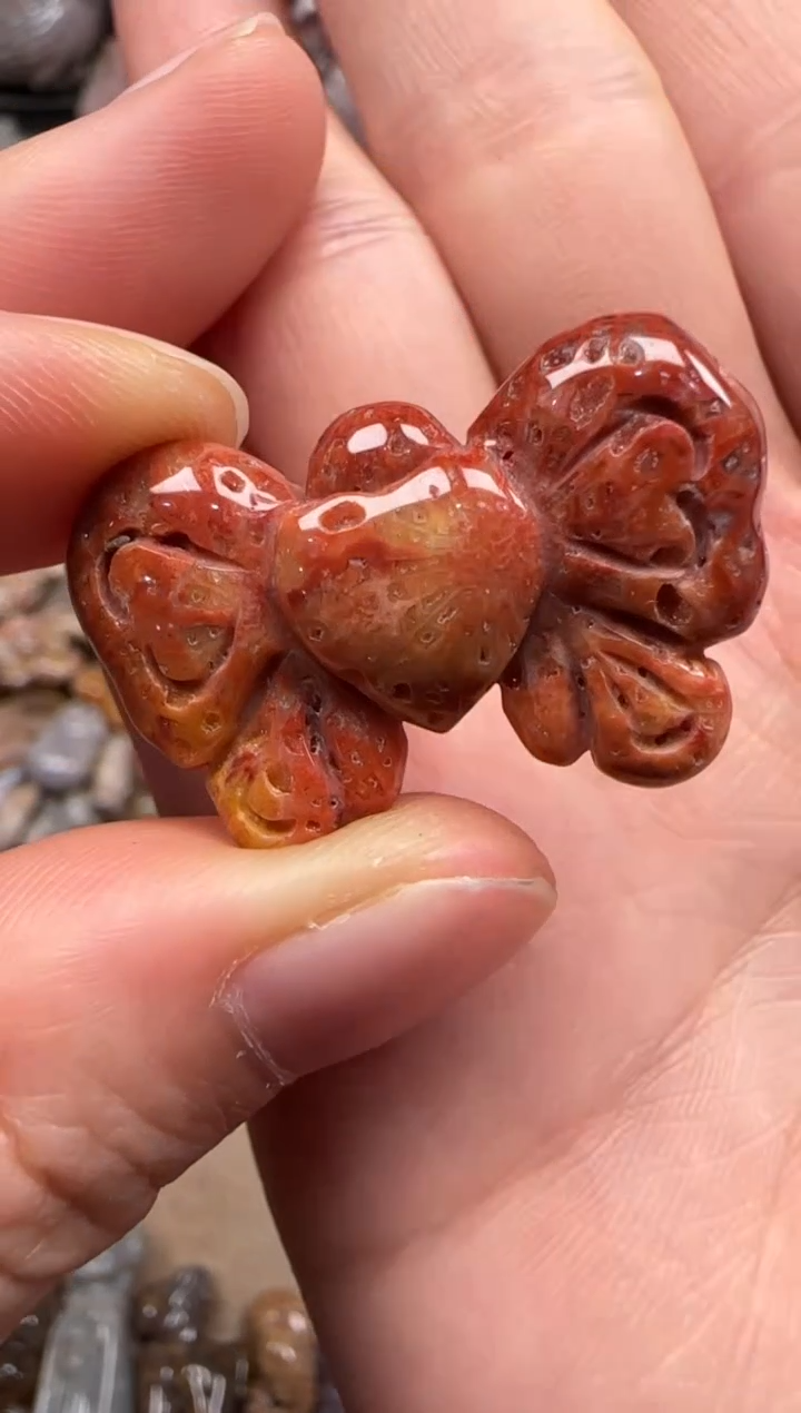 【闪购商品】硅化珊瑚（珊瑚玉）颈饰未镶嵌297