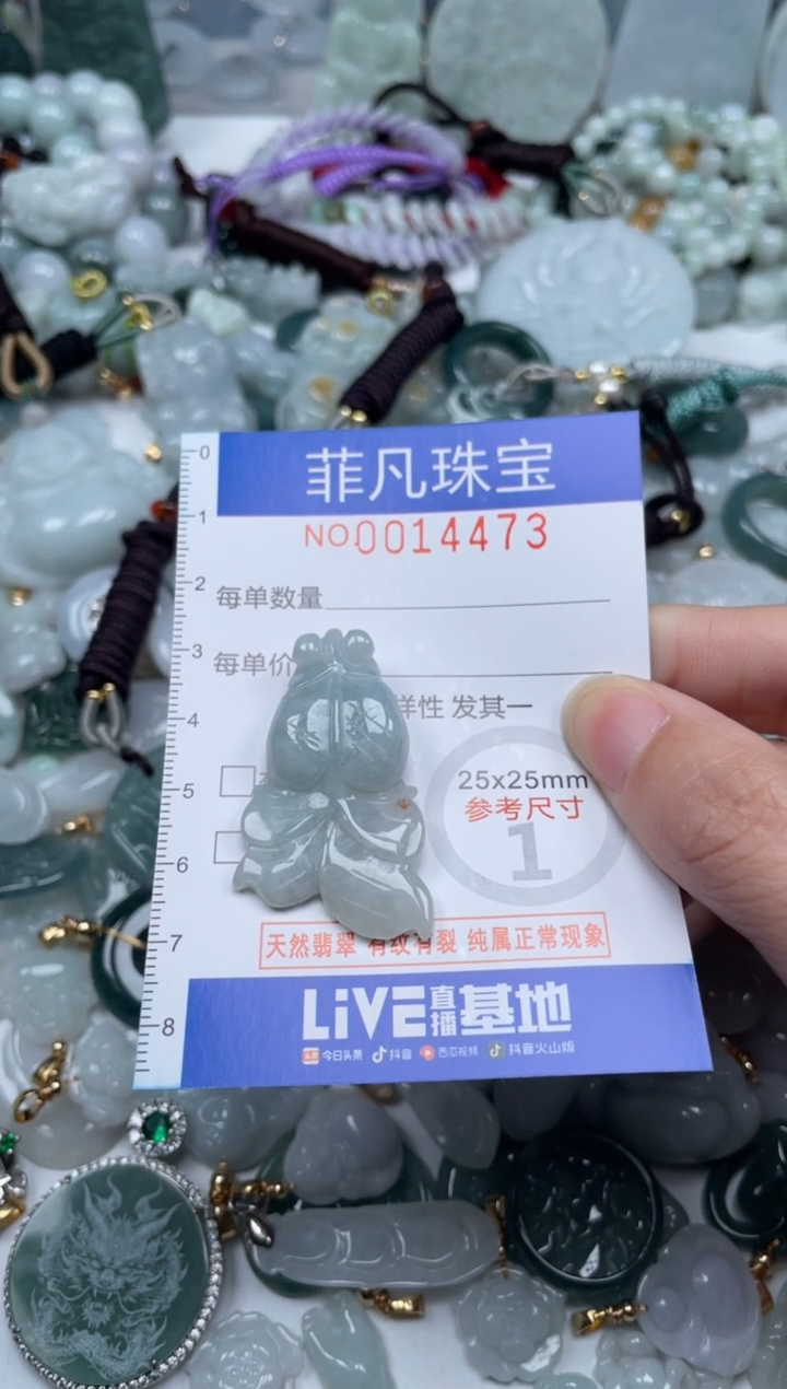 颈饰未镶嵌翡翠14473