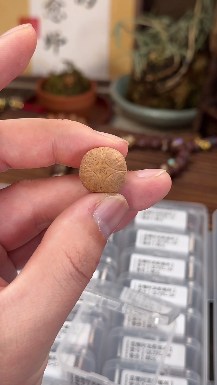 【闪购商品】凤眼菩提手串17-18mm麒麟眼多样性发货