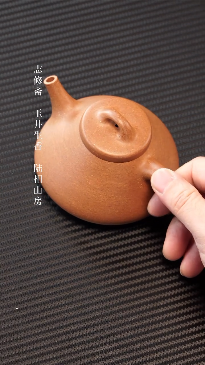 紫砂茶壶子冶石瓢