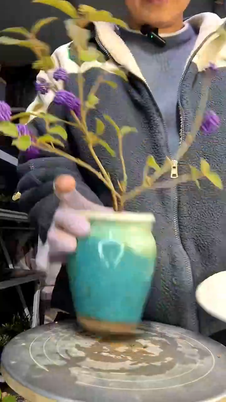 锐*中青园艺一物一拍花492