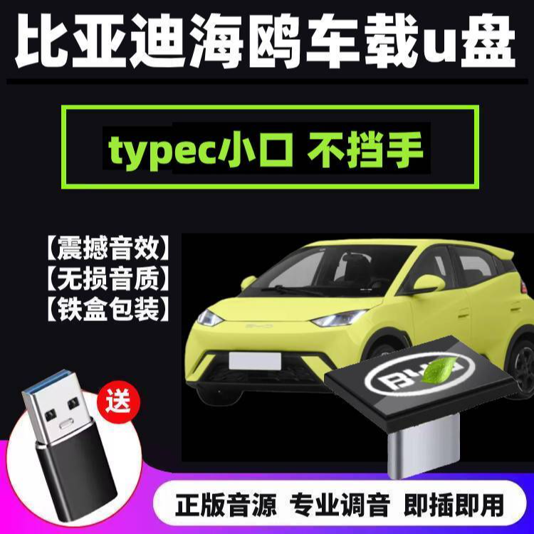比亚迪海鸥车载u盘typec小口无损歌曲汽车车用海鸥专用u盘带音乐