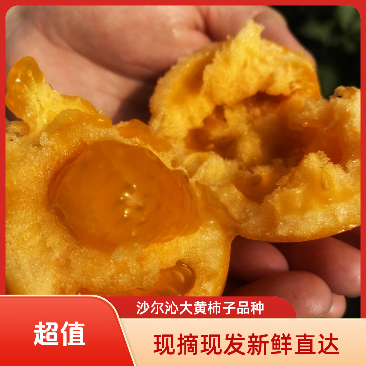 【顺丰包邮现摘现发】沙尔沁大黄柿子沙瓤草莓心净重5斤