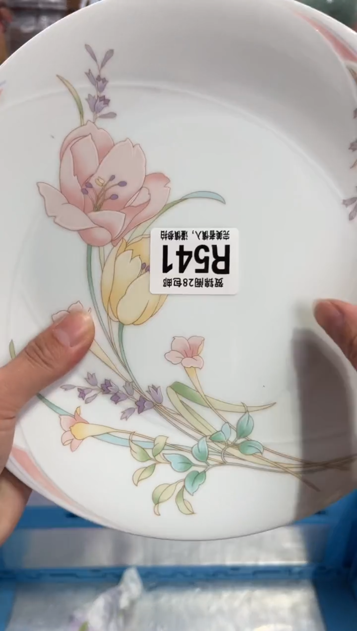 瓷片逆***儿       R541