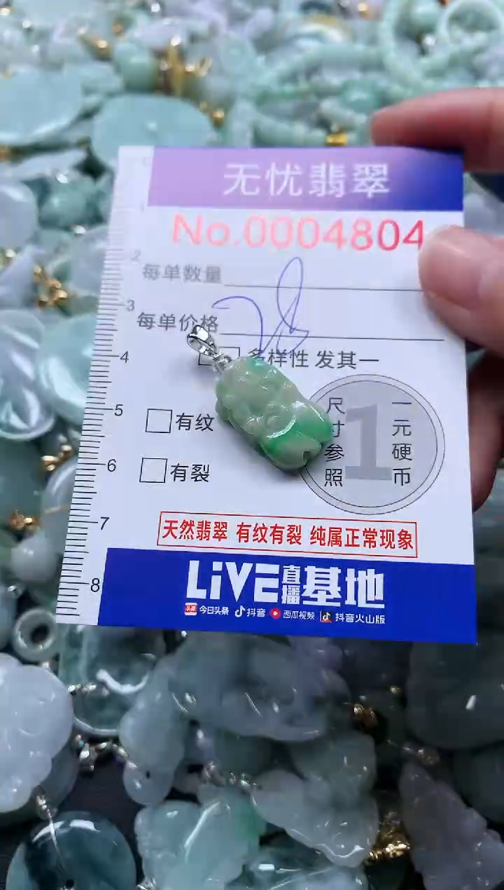 颈饰未镶嵌翡翠4804
