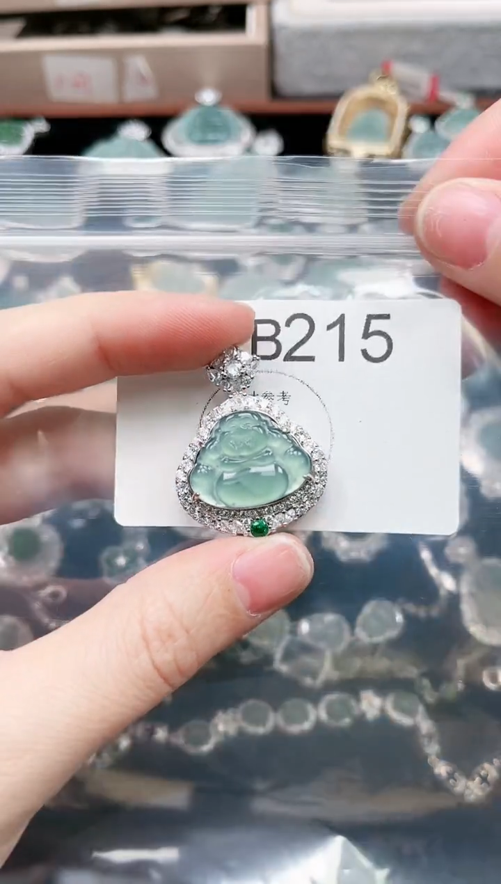 【闪购商品】翡翠颈饰未镶嵌215赠皮绳