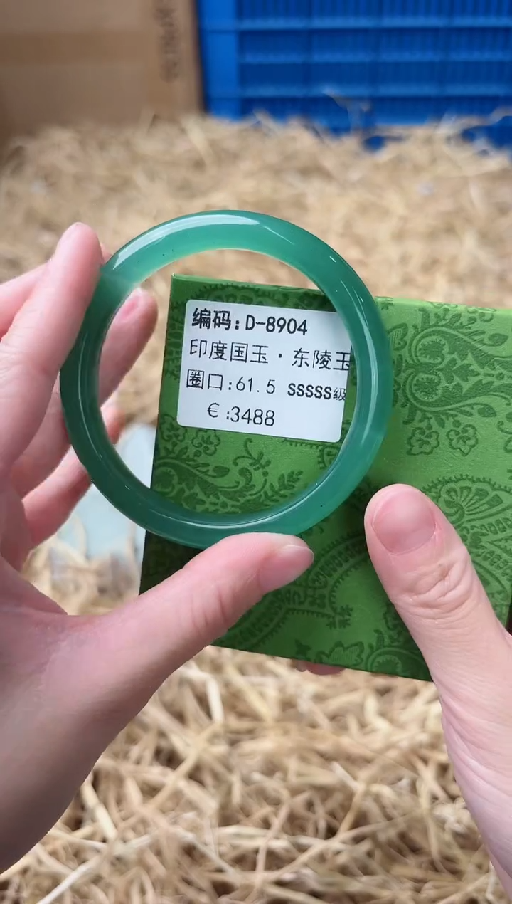 未镶嵌手镯石英质玉D-8904