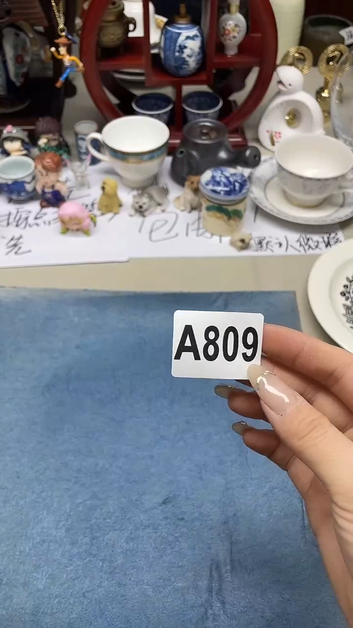 瓷片M****NMiss Z.N809++++