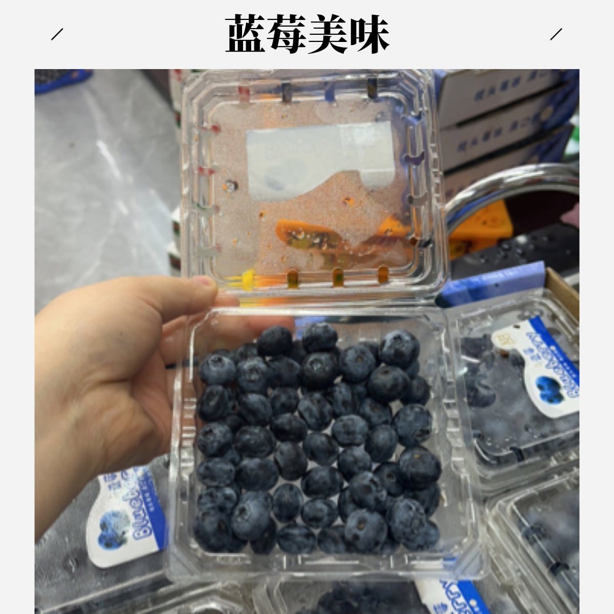 17mm云南蓝莓原装小盒一盒 （125克）蓝莓同城送云南蓝莓云南省