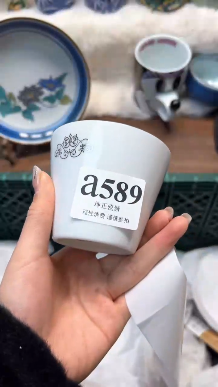 【闪购商品】瓷片          a589