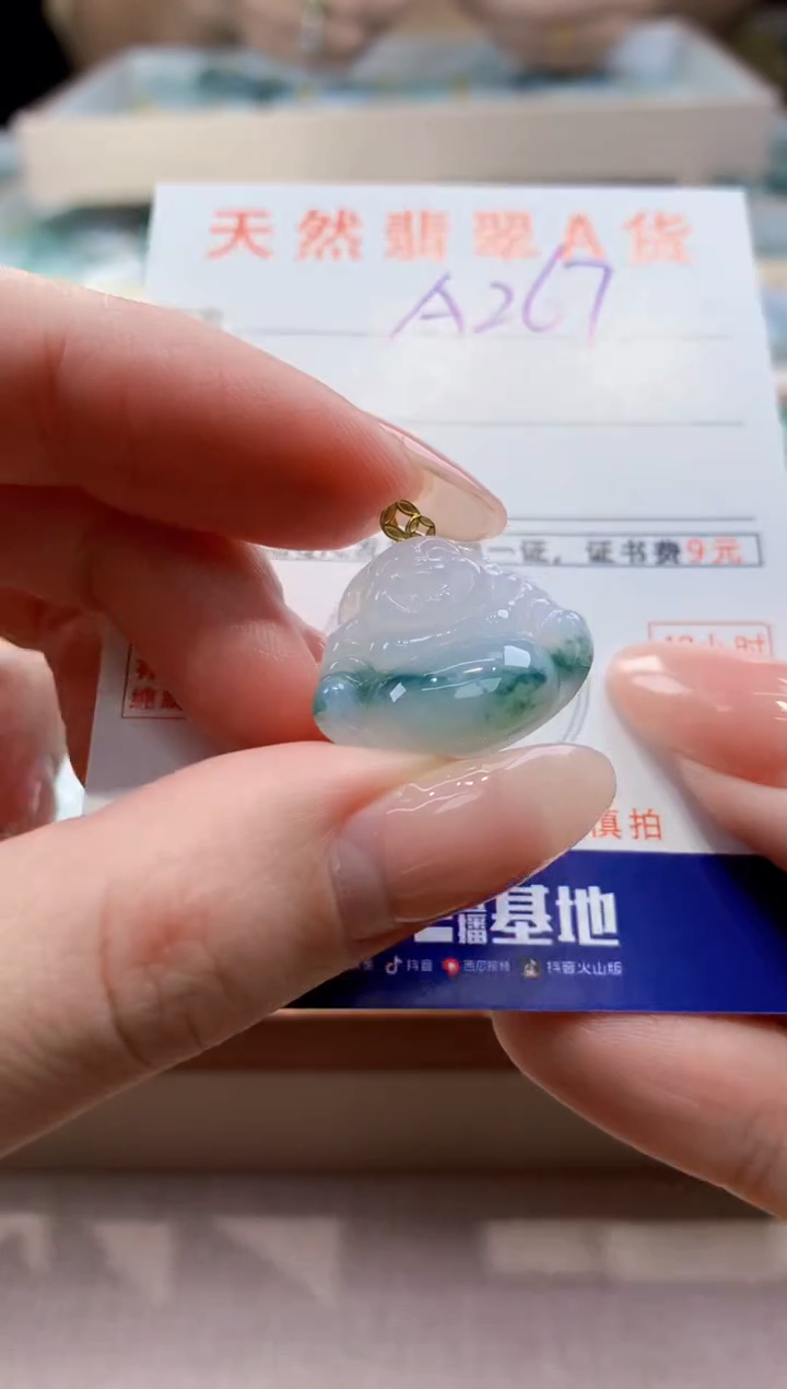 颈饰未镶嵌翡翠天然缅甸a货翡翠
