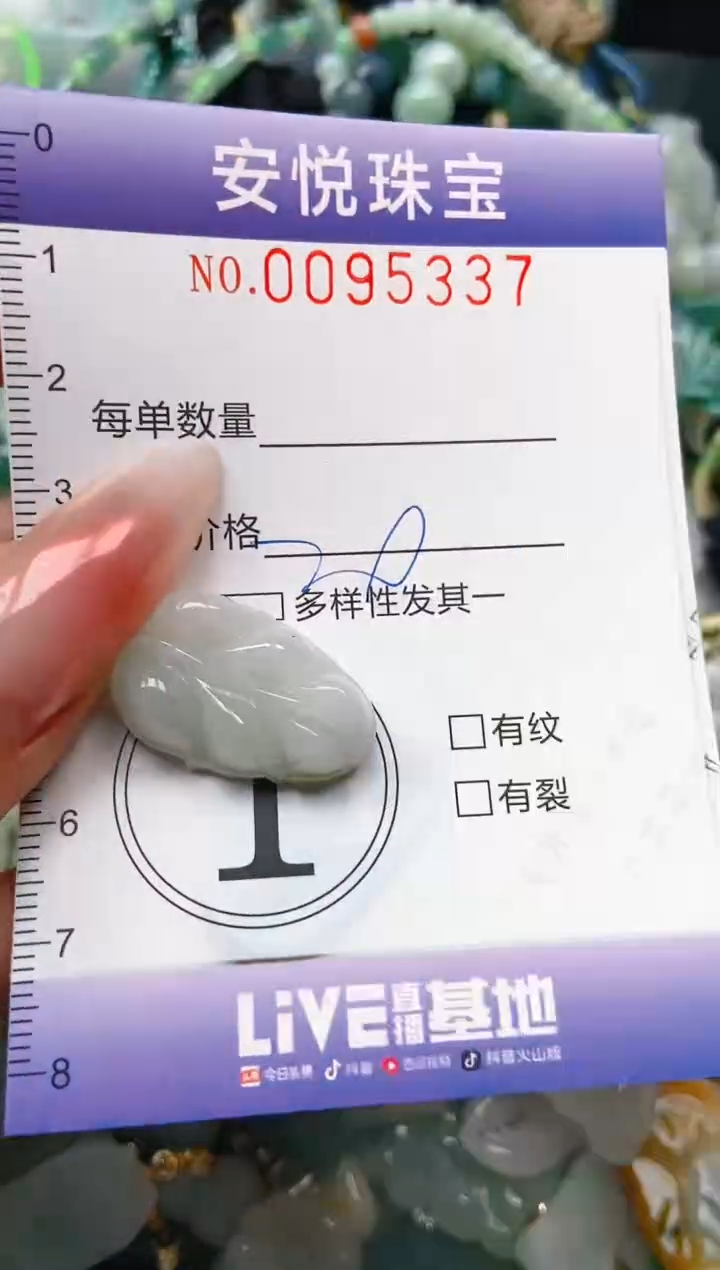 【闪购商品】翡翠颈饰未镶嵌闪购0095337
