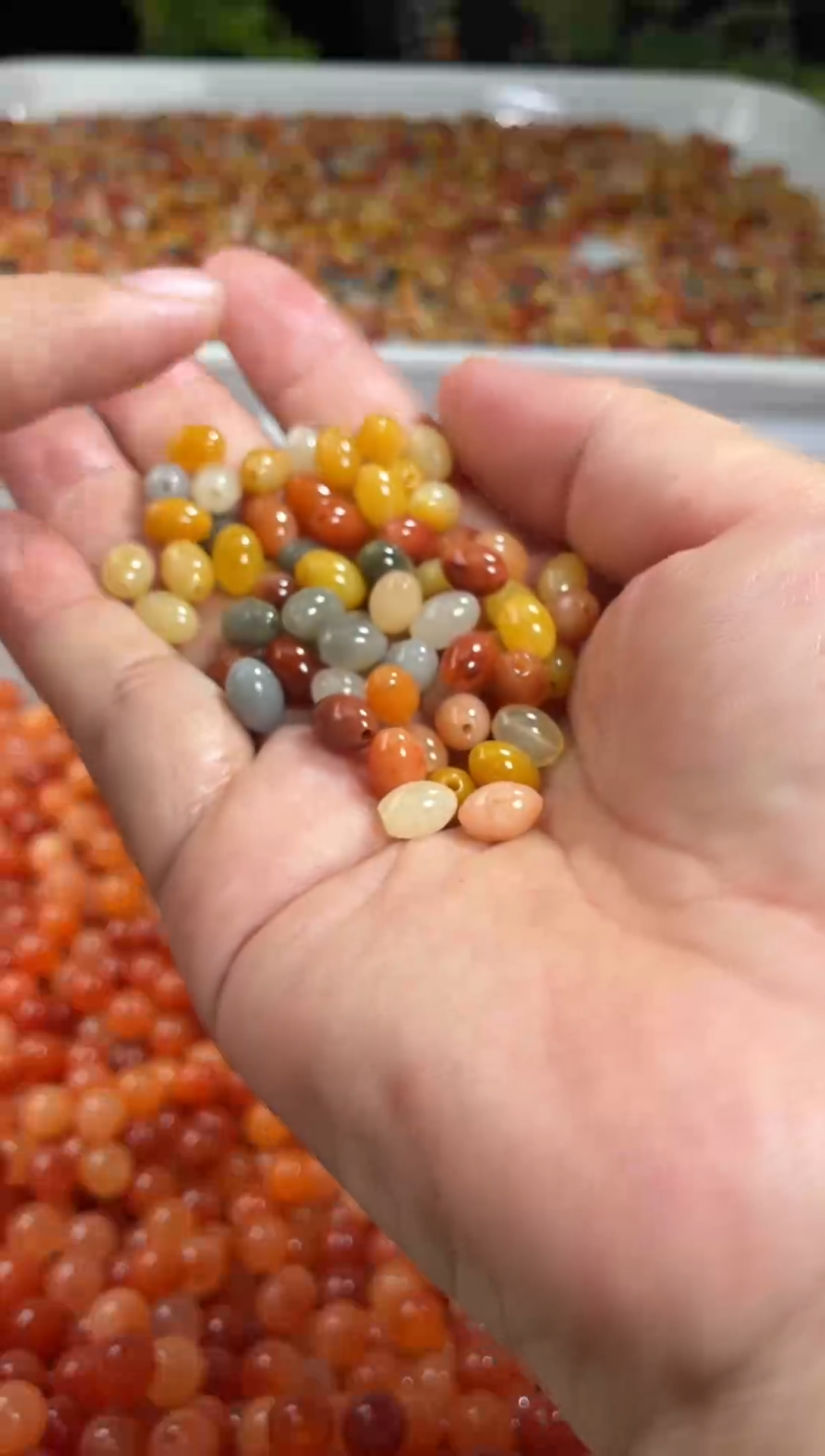 石英质玉（金丝玉）未镶嵌项链金丝玉多宝米珠30粒