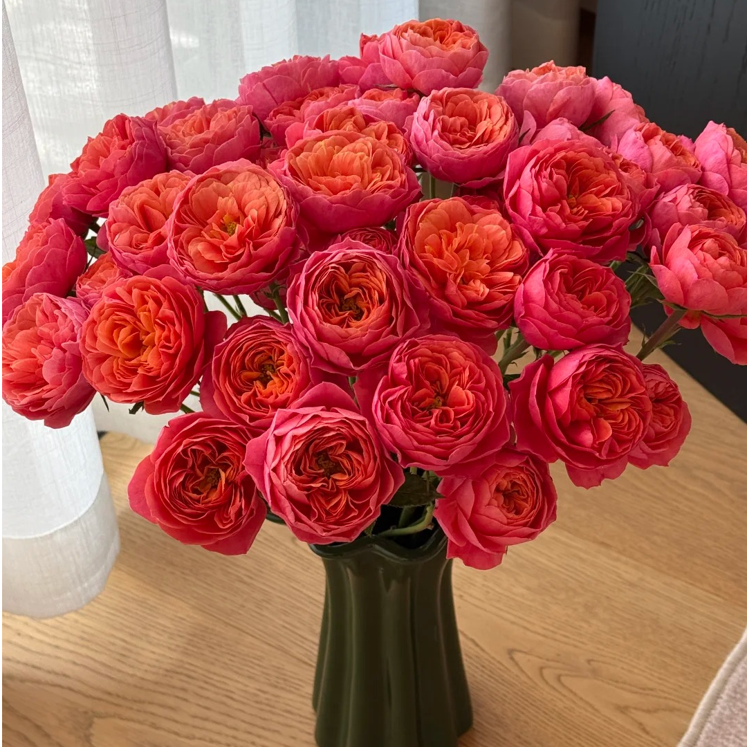 血橙果汁【花王多头】该品种不耐运输，请凑单升级快递保护花花