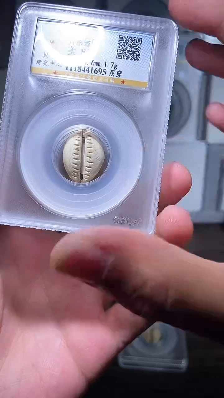 【闪购商品】铜历代 骨贝骨贝一枚