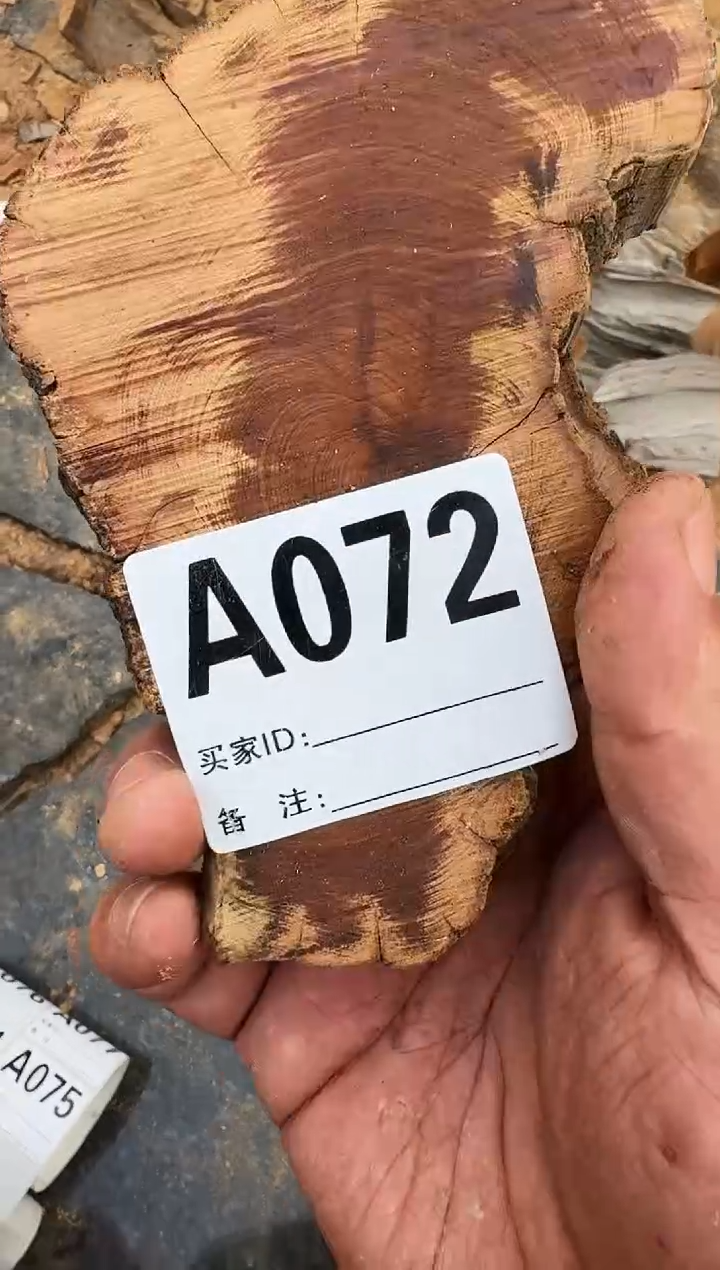 【闪购商品】柏木（崖柏）太行陈化崖柏两片